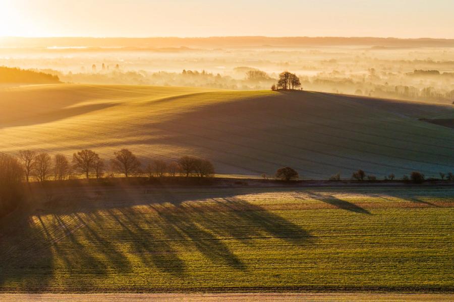 A temperature inversion fills the Vale of White Horse with low mist at first light, seen here from above Brightwell Barrow near the Wittenham Clumps in Oxfordshire, while long tree shadows rake across frost-dusted arable fields on the downland above Abingdon. A small copse crowns the nearest hill, its silhouette caught between the lit flank and the mist-dissolved distance beyond. The layering of warm light, cool shadow, and atmospheric depth gives the scene an unusual structural clarity for an aerial frame.