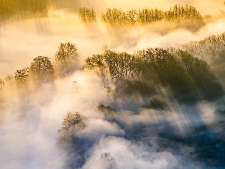 Ground-hugging mist rolls through bare-canopied riparian woodland above the Thames Valley at Wallingford, caught at the moment sunbeams pierce the inversion layer and separate light from shadow across successive tree lines. The aerial perspective dissolves the landscape into layered planes of amber and cold white, reducing woodland to silhouette and vapour to form. Captured at the spring equinox, when overnight cold and morning warmth conspire to produce conditions of this density and movement.