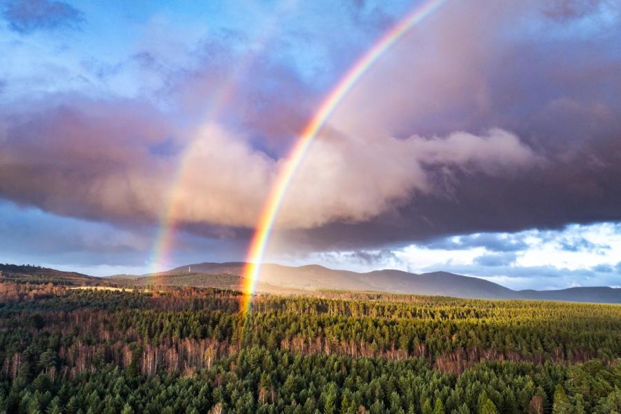 A double rainbow descends into the Scots pine forest of Strathspey, its feet converging near the treeline as a squall clears over the Cairngorm plateau. The aerial vantage compresses the full arc geometry against a bruised cumulonimbus, with raking low sun warming the canopy below. Captured at dusk in April above Aviemore.