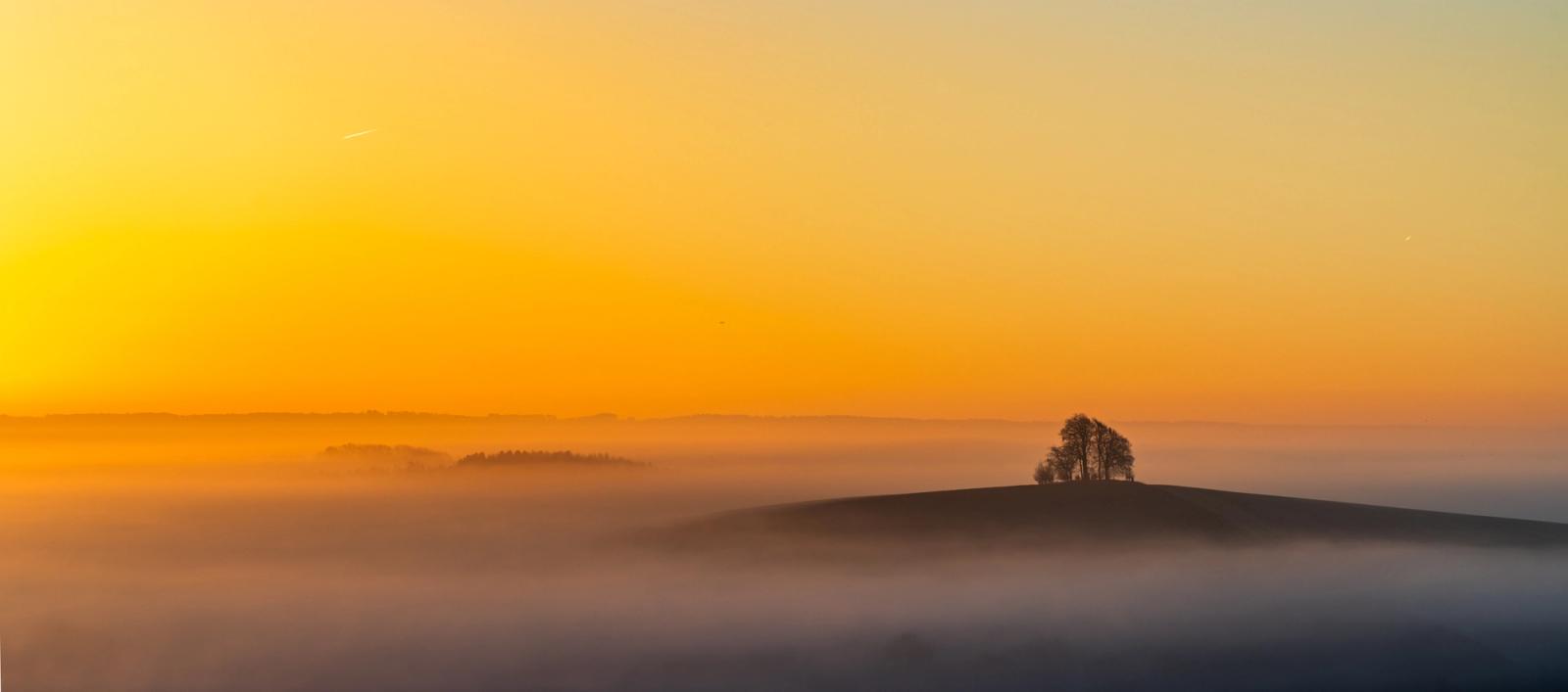 A small copse crowns Brightwell Barrow, near the Wittenham Clumps in Oxfordshire, the rounded hilltop breaking clear of a dense temperature inversion while successive ridges dissolve into amber mist below a cloudless dawn sky. The bare canopy and muted lower tones place this firmly in late winter. The wide panoramic framing balances the solitary tree group against an expansive, graduated sky with quiet confidence.