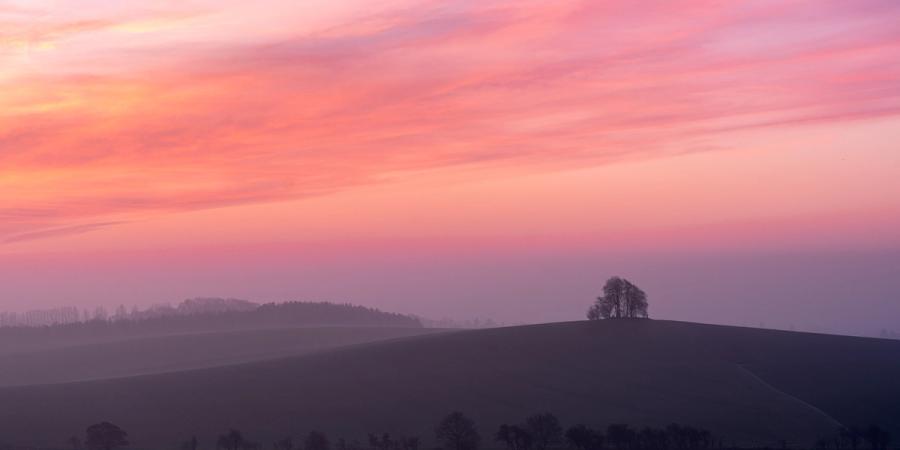 At Brightwell Barrow, near the Wittenham Clumps in Oxfordshire, a small stand of bare-crowned trees crowns the rounded hill as dawn afterglow saturates the sky in rose and violet. Mist pools between the rolling ridges below, reducing the middle distance to layered silhouettes and suggesting a temperature inversion across the valley. The wide crop isolates the copse against an expansive sky, lending the composition an unusual quietness.