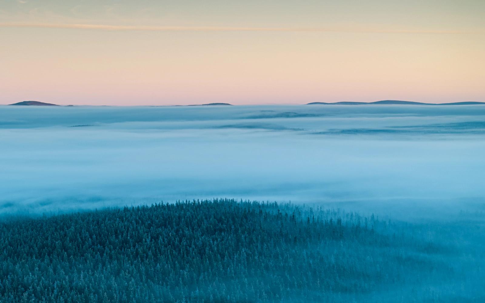 A temperature inversion floods the Spey Valley with cloud on a December dawn, leaving the crowns of a boreal conifer forest breaking the surface like dark archipelagos. Distant fells emerge as silhouettes above the fog layer, set against a sky moving through pink and pale gold in the minutes after first light. The shot was captured by drone above Nethy Bridge, within the Cairngorms National Park.