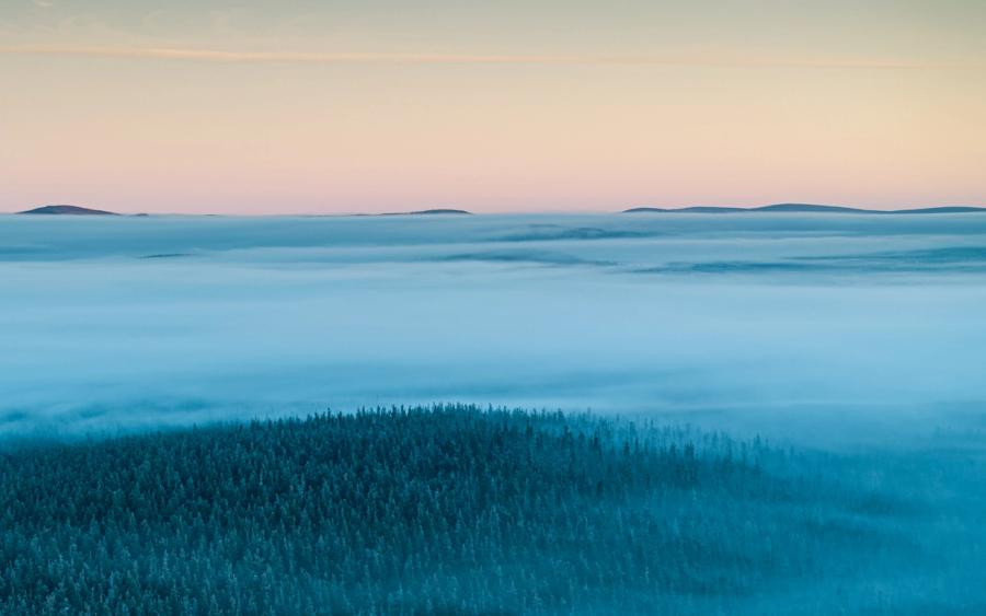 A temperature inversion floods the Spey Valley with cloud on a December dawn, leaving the crowns of a boreal conifer forest breaking the surface like dark archipelagos. Distant fells emerge as silhouettes above the fog layer, set against a sky moving through pink and pale gold in the minutes after first light. The shot was captured by drone above Nethy Bridge, within the Cairngorms National Park.