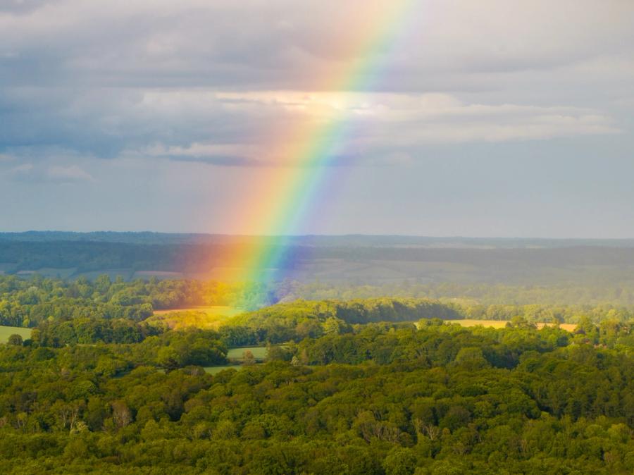 A vivid primary rainbow descends into dense mixed woodland above the Thames Valley, viewed from elevation on an unsettled May afternoon. Rain still falls visibly at mid-distance while low sun catches the canopy, creating a sharp tonal divide between lit and shadowed tree cover. The elevated vantage compresses the rolling patchwork of fields and woodland into a single plane beneath the arc.