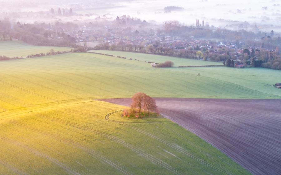 A small copse sits at the intersection of rapeseed, bare soil and winter wheat on the farmland below Brightwell Barrow, near the Wittenham Clumps in Oxfordshire, caught in low spring light with valley mist softening the village beyond. The radiating tractor lines draw the eye to the isolated stand of trees, which divides three distinct land uses in a single frame. Morning fog layers over the settlement and treeline, compressing distance and adding tonal depth to the middle ground.