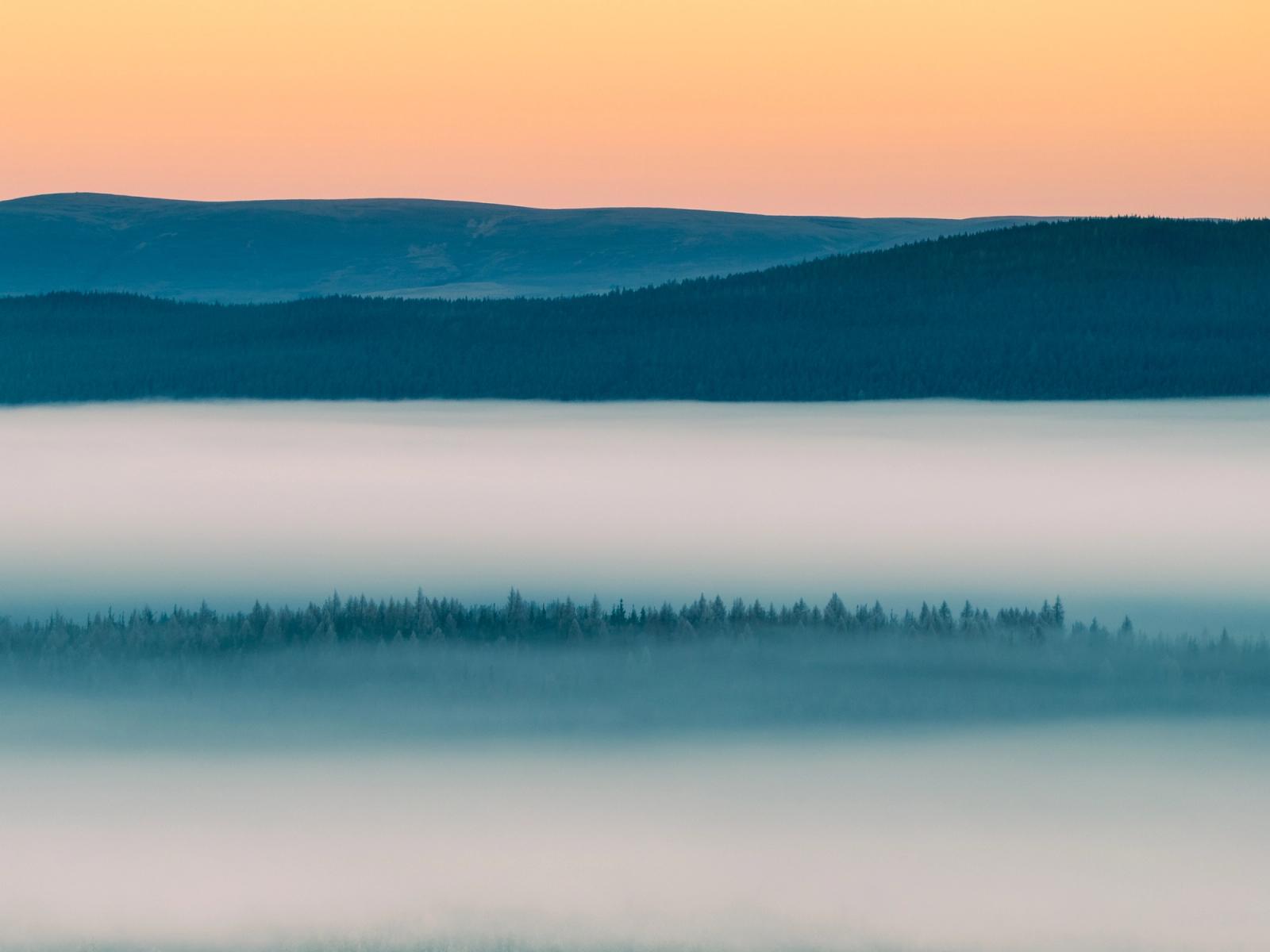 A temperature inversion fills the Strathspey valley with dense radiation fog at dawn on Christmas morning, reducing the conifer forest to a single suspended dark band between tiers of white mist. Shot from elevation above Nethy Bridge in the Cairngorms, the image resolves into four horizontal planes â fog, treeline, forested ridge, and a peach afterglow sky â with near-perfect tonal separation between them. The restraint of the composition and the stillness of the light give the scene an almost monochromatic quality despite the colour present.