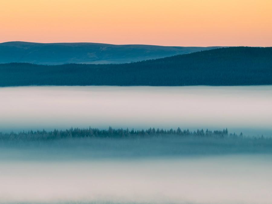 A temperature inversion fills the Strathspey valley with dense radiation fog at dawn on Christmas morning, reducing the conifer forest to a single suspended dark band between tiers of white mist. Shot from elevation above Nethy Bridge in the Cairngorms, the image resolves into four horizontal planes â fog, treeline, forested ridge, and a peach afterglow sky â with near-perfect tonal separation between them. The restraint of the composition and the stillness of the light give the scene an almost monochromatic quality despite the colour present.