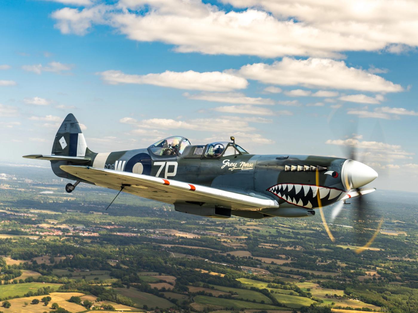 A two-seat Supermarine Spitfire trainer finished in shark-mouth livery and marked 'Grey Nurse' crosses above a patchwork of summer fields and woodland. The spinning propeller blurs against a partial cumulus sky, placing the aircraft in mid-flight isolation. The image documents an air-to-air encounter rather than a landscape moment.