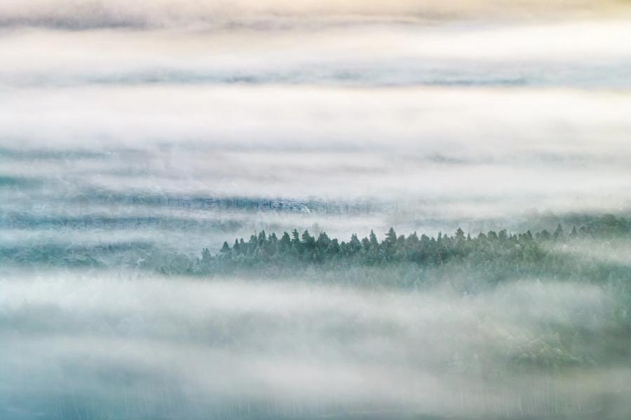 Layers of valley mist envelop a conifer ridge above Boat of Garten on a winter morning, reducing the forest to a single dark horizon between bands of moving cloud. Shot from altitude during a temperature inversion, the compression of the telephoto lens dissolves the landscape into near-abstract horizontal planes of grey, white, and muted green. The restrained palette and the slim reveal of treetops give the image a quality of suspension, as though the forest is surfacing rather than being submerged.