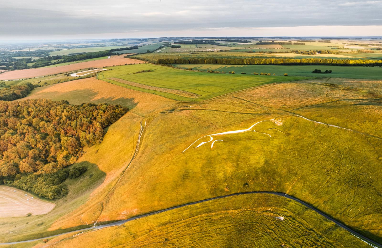 The Uffington White Horse â an Iron Age chalk figure on the Berkshire Downs â seen from altitude in raking evening light that sharpens the carved outline against the hillside. Autumn-toned woodland flanks the scarp to the left, while the patchwork Vale of White Horse extends to a soft horizon. The low sun briefly unifies figure and landscape in a single warm register.