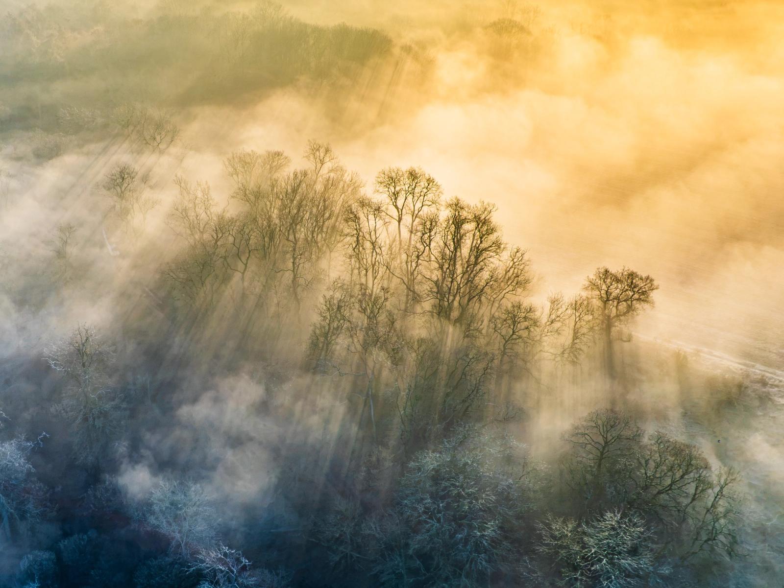 Crepuscular rays penetrate a fog layer over bare-branched woodland near Abingdon-on-Thames, caught from altitude at first light on a frost-held March morning. The diagonal ridgeline of trees divides warm amber light above from cold blue shadow below, the mist acting as a screen on which the beams are made legible. An aerial vantage strips the scene to pure atmosphere and structure.