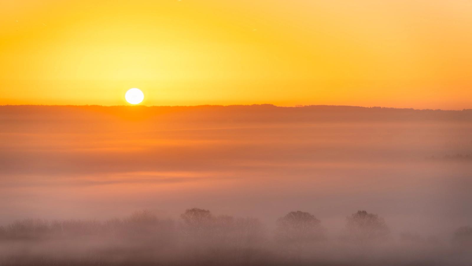 A temperature inversion fills a lowland valley with fog at first light, the sun just clearing a distant treeline silhouette. Trees emerge as dark islands through successive layers of mist, giving the scene its only structural depth. Captured in early March, the bare canopy confirms the landscape is not yet in leaf.