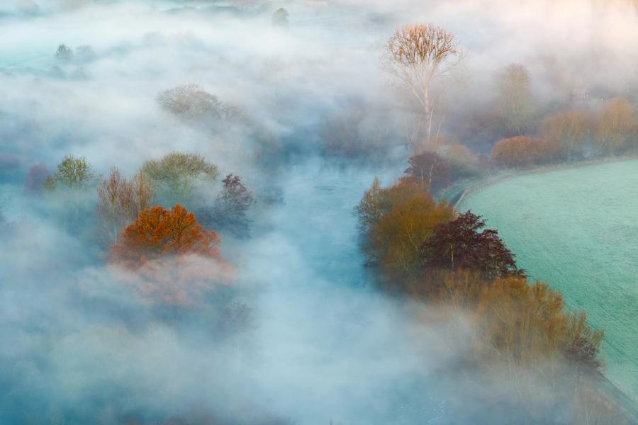A temperature inversion smothers the Thames valley near Abingdon at first light, leaving trees in full autumn-to-winter transition stranded above a slow-moving sea of cold fog. A frosted meadow breaks clear to the right, its pale green a quiet counterpoint to the amber and burgundy crowns emerging from the mist. The aerial perspective dissolves conventional landscape geometry, reducing the scene to colour, texture, and atmosphere.