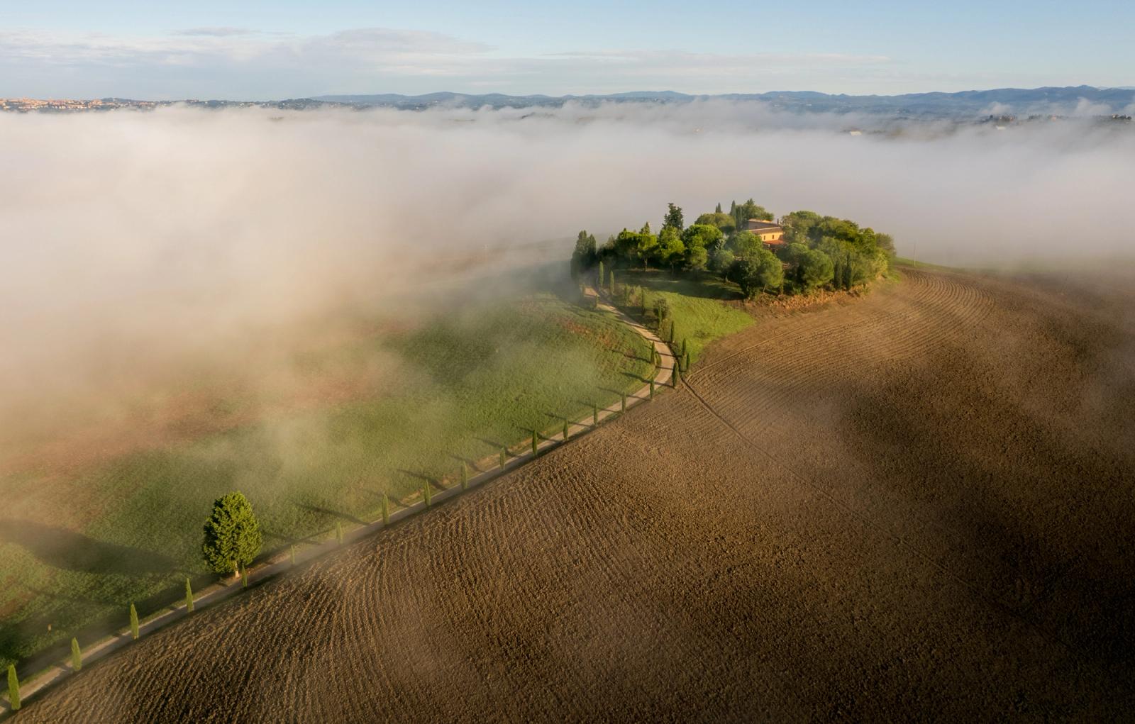 A Tuscan farmstead crowns a low hill above the Val d'Arbia, its cypress-lined avenue emerging from a shallow fog inversion that erases the valley floor. Shot from altitude in early-morning light, the ploughed field's parallel furrows draw the eye toward the hilltop grove, the mist lending the isolated estate the quality of something adrift. Captured near Monteroni d'Arbia in late September at the point where dawn warmth begins to thin the overnight fog.