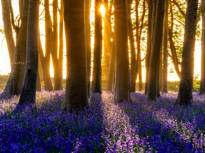 Spring Photography