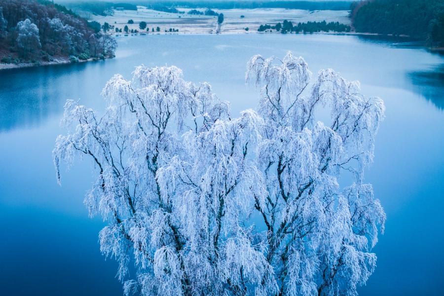 A cluster of birches, heavily rimed with hoarfrost, rises above the calm surface of a loch near Aviemore in the Cairngorms. Shot from altitude in the blue pre-dawn light of a December morning, the white canopy reads almost as smoke against the steel-blue water. The frost-covered woodland and open fields of the valley floor recede quietly into the distance.