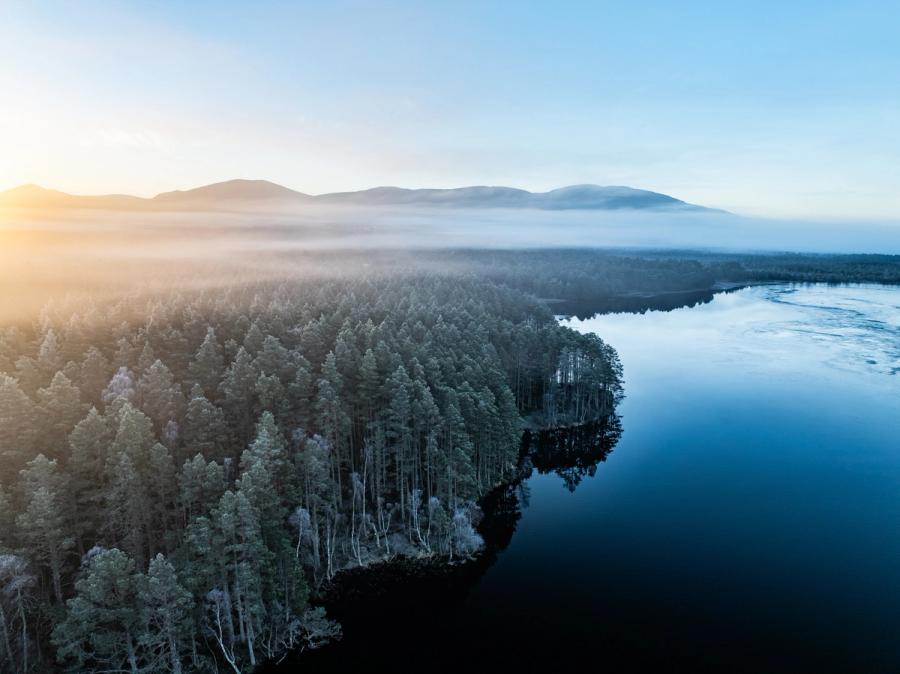 A low temperature inversion smothers the Caledonian pinewoods bordering a still loch in the Cairngorms on a December dawn, the Cairngorm plateau emerging as a dark silhouette above the fog layer. Frost on the upper canopy catches the first raking light from the south-west while the water surface holds a near-perfect reflection of the mist ceiling. The composition resolves the tension between warmth and cold through the diagonal forest edge cutting across the frame.
