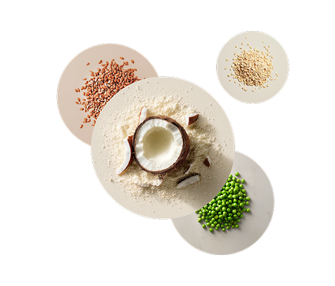 Image containing a number of raw Huel ingredients including coconut, pea protein, and oats
