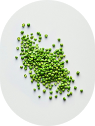 Pea protein as shot from above
