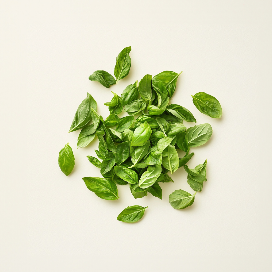 Organic Basil Leaf