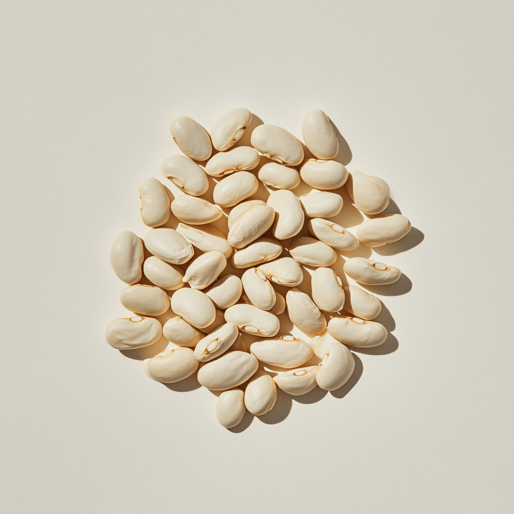 A pile of dried Faba Beans on a neutral colour background