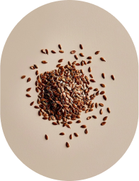 フラックスシードの俯瞰ショット