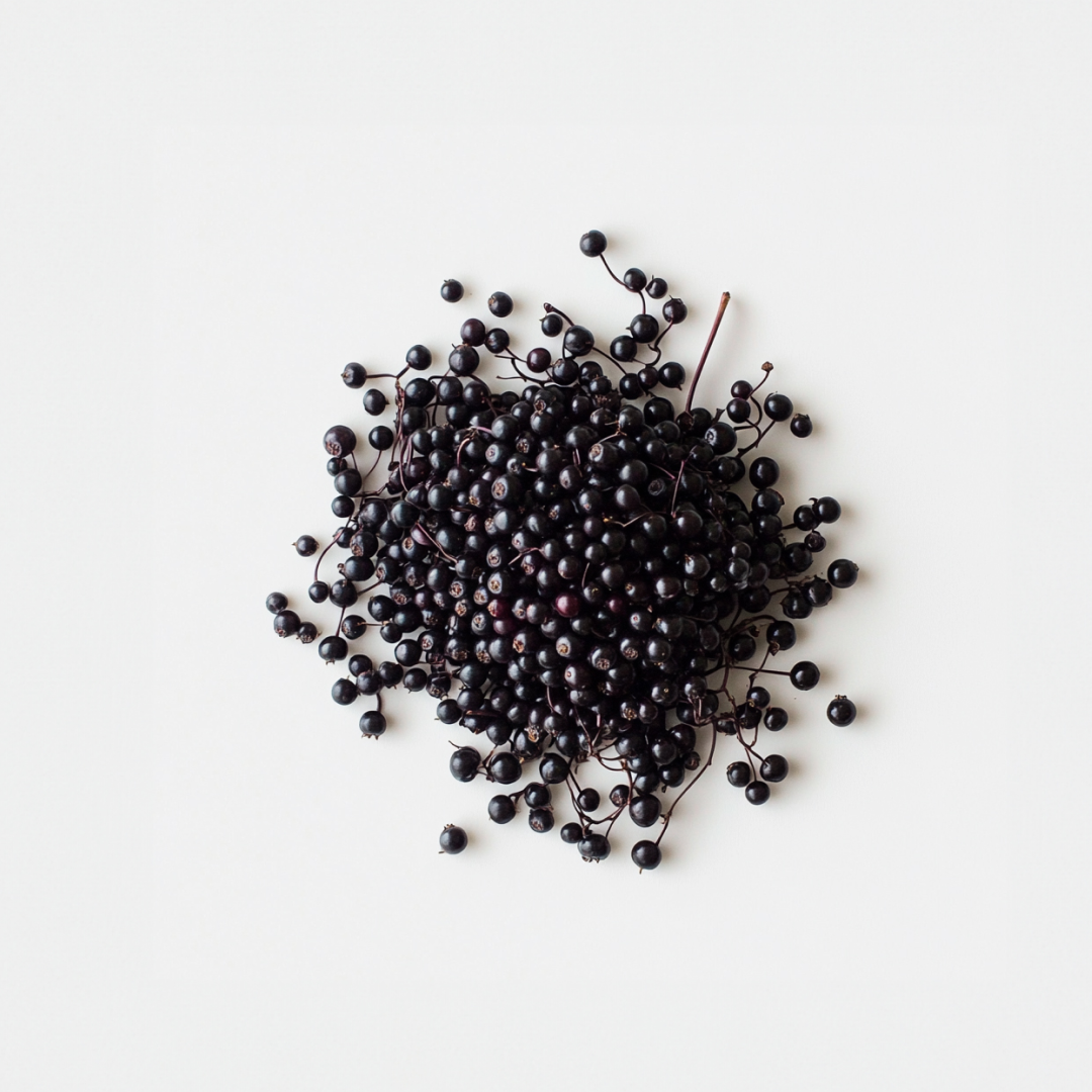 Picture of Elderberries