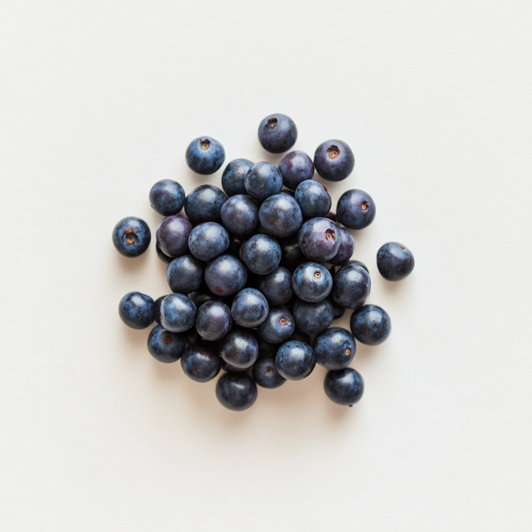 Organic Bilberry