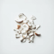 Pieces of coconut