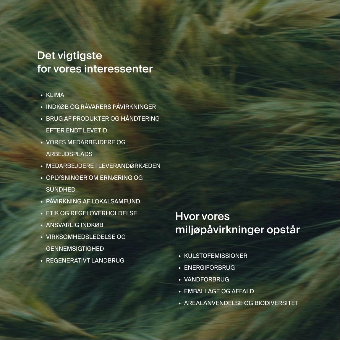 Text on an image of moving long grass in 2 parts, one with the headline "what matters most to our stakeholders", and the other "where our environmental impacts fall"