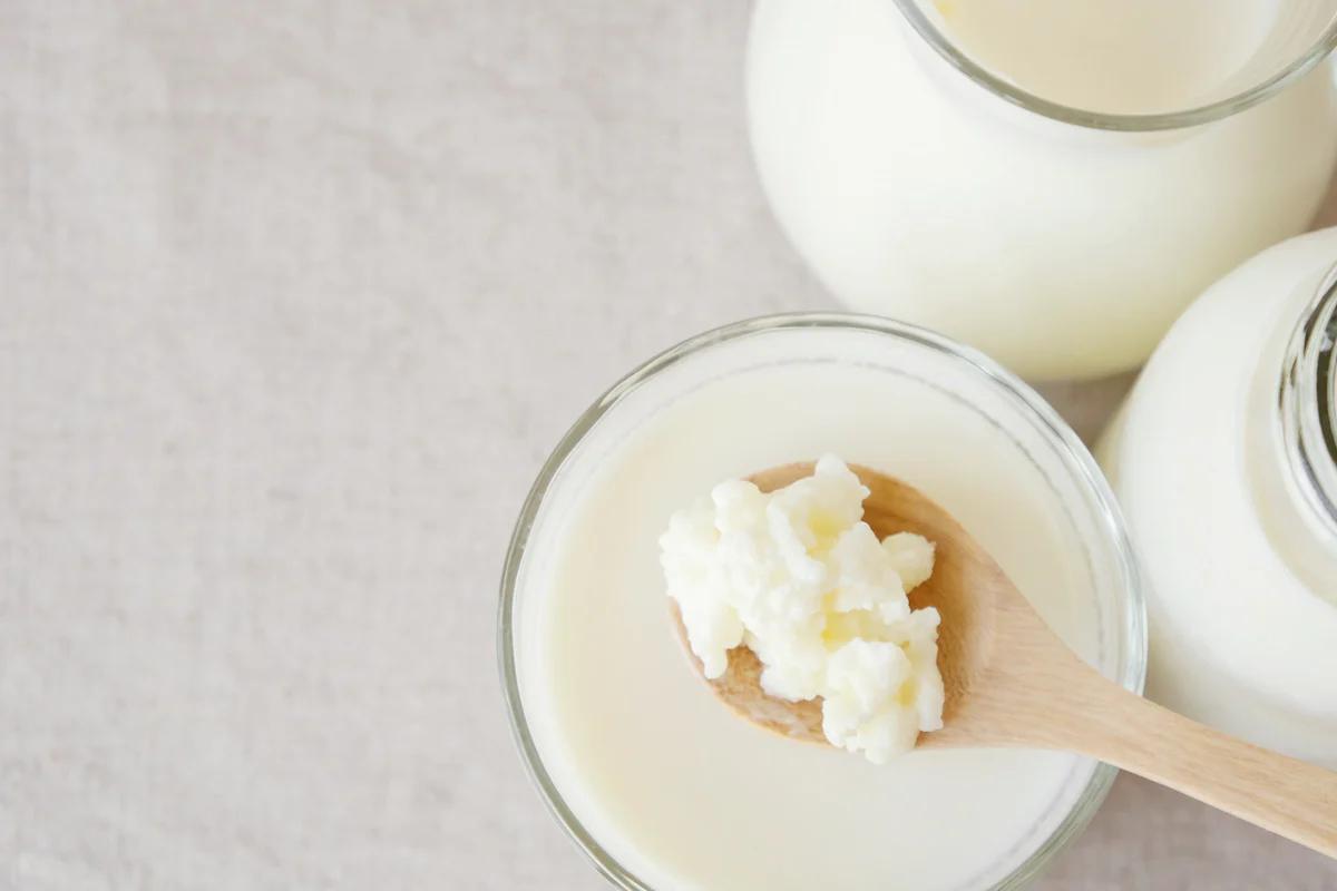 organic probiotic milk kefir grain tibetan