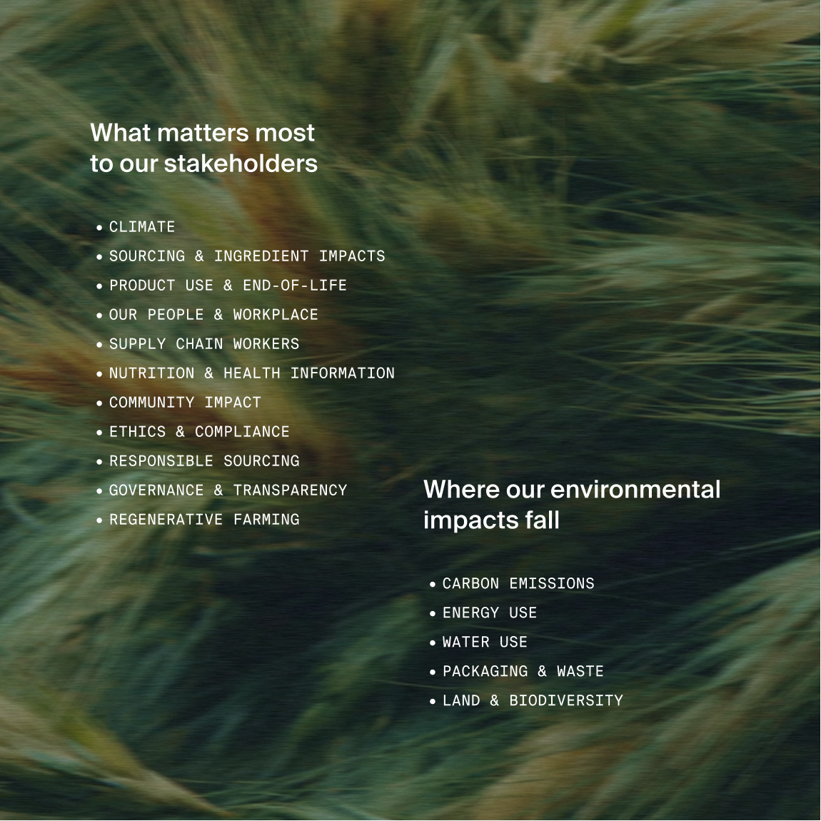 Text on an image of moving long grass in 2 parts, one with the headline "what matters most to our stakeholders", and the other "where our environmental impacts fall"