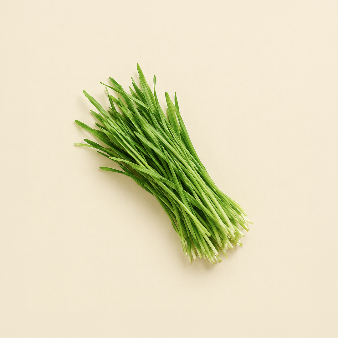 Gluten-Free Barley Grass on a beige background