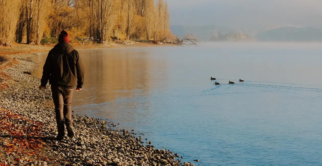 person walking along the banks of a lake in the cold with some ducks swimming nearby