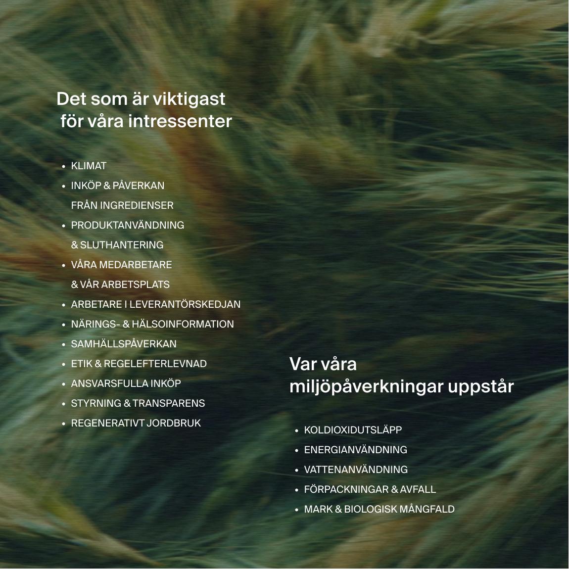 Text on an image of moving long grass in 2 parts, one with the headline "what matters most to our stakeholders", and the other "where our environmental impacts fall"