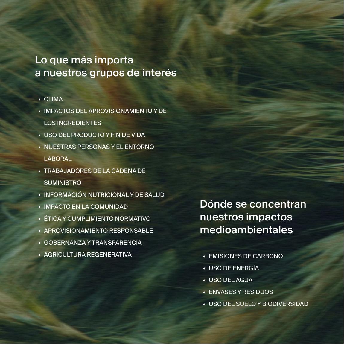 Text on an image of moving long grass in 2 parts, one with the headline "what matters most to our stakeholders", and the other "where our environmental impacts fall"