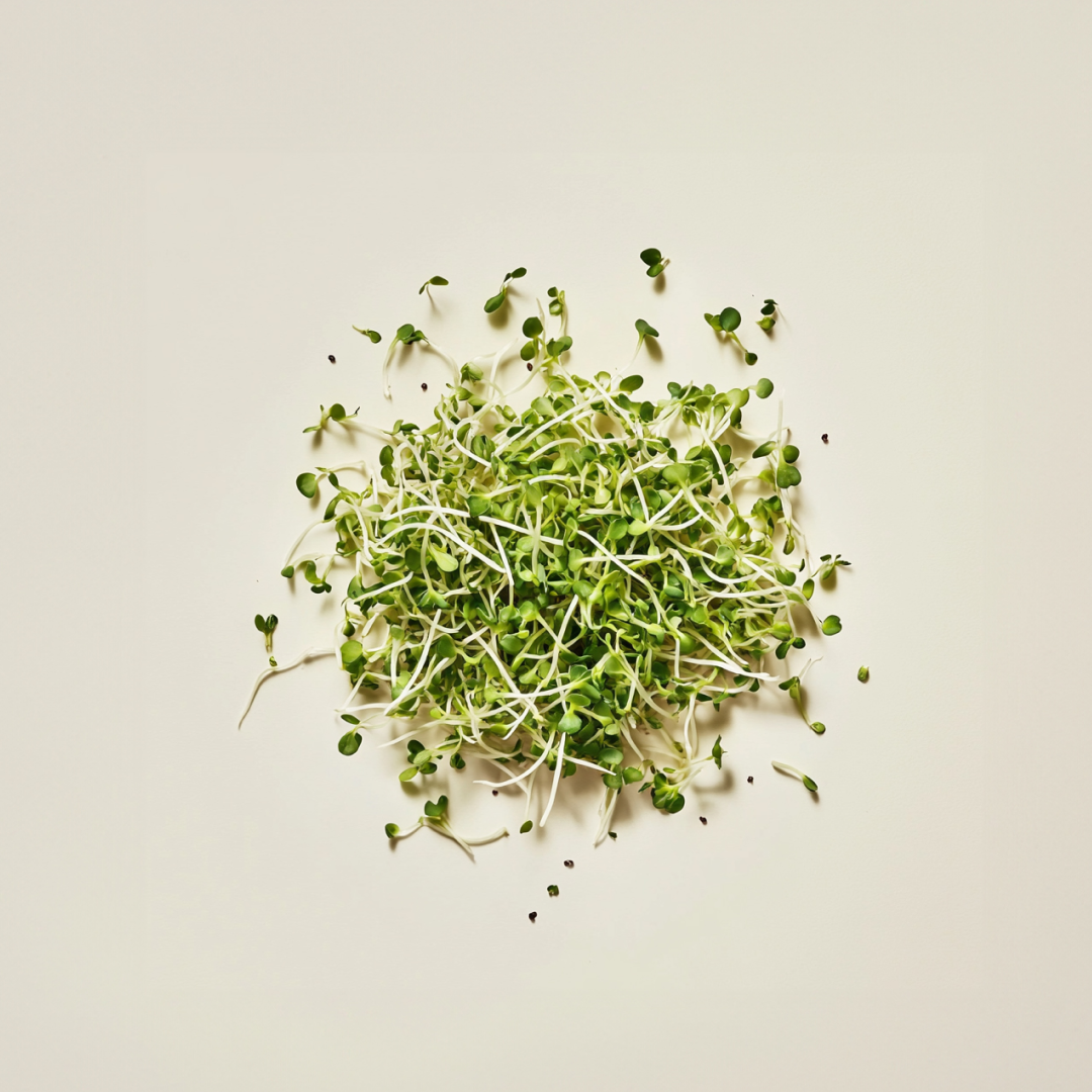 Broccoli Sprouts