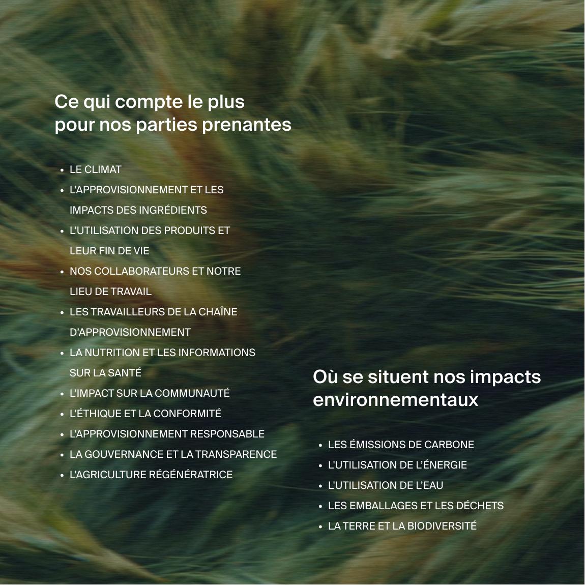 Text on an image of moving long grass in 2 parts, one with the headline "what matters most to our stakeholders", and the other "where our environmental impacts fall"