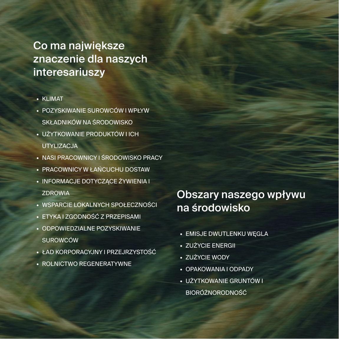Text on an image of moving long grass in 2 parts, one with the headline "what matters most to our stakeholders", and the other "where our environmental impacts fall"
