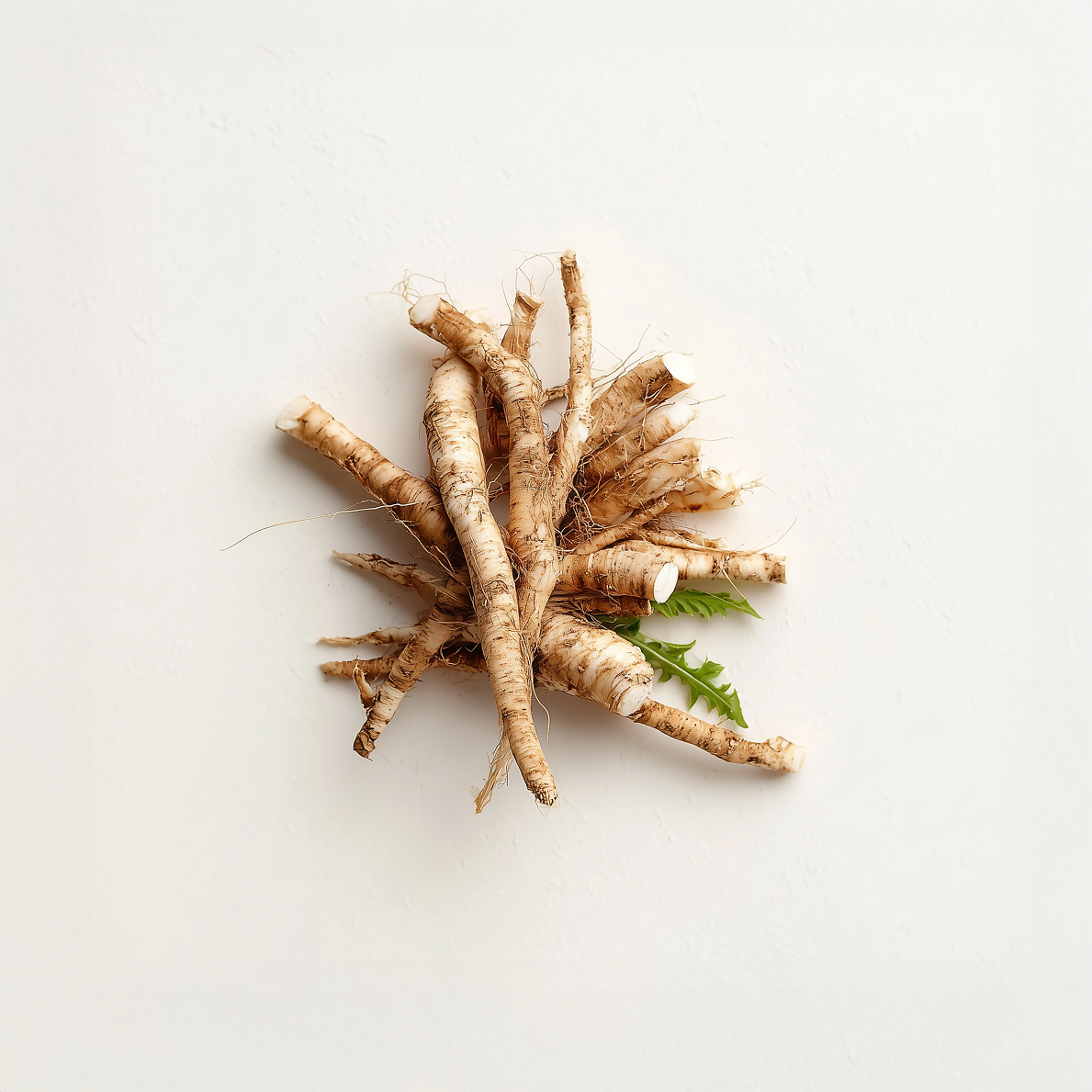 An overhead shot of chicory root