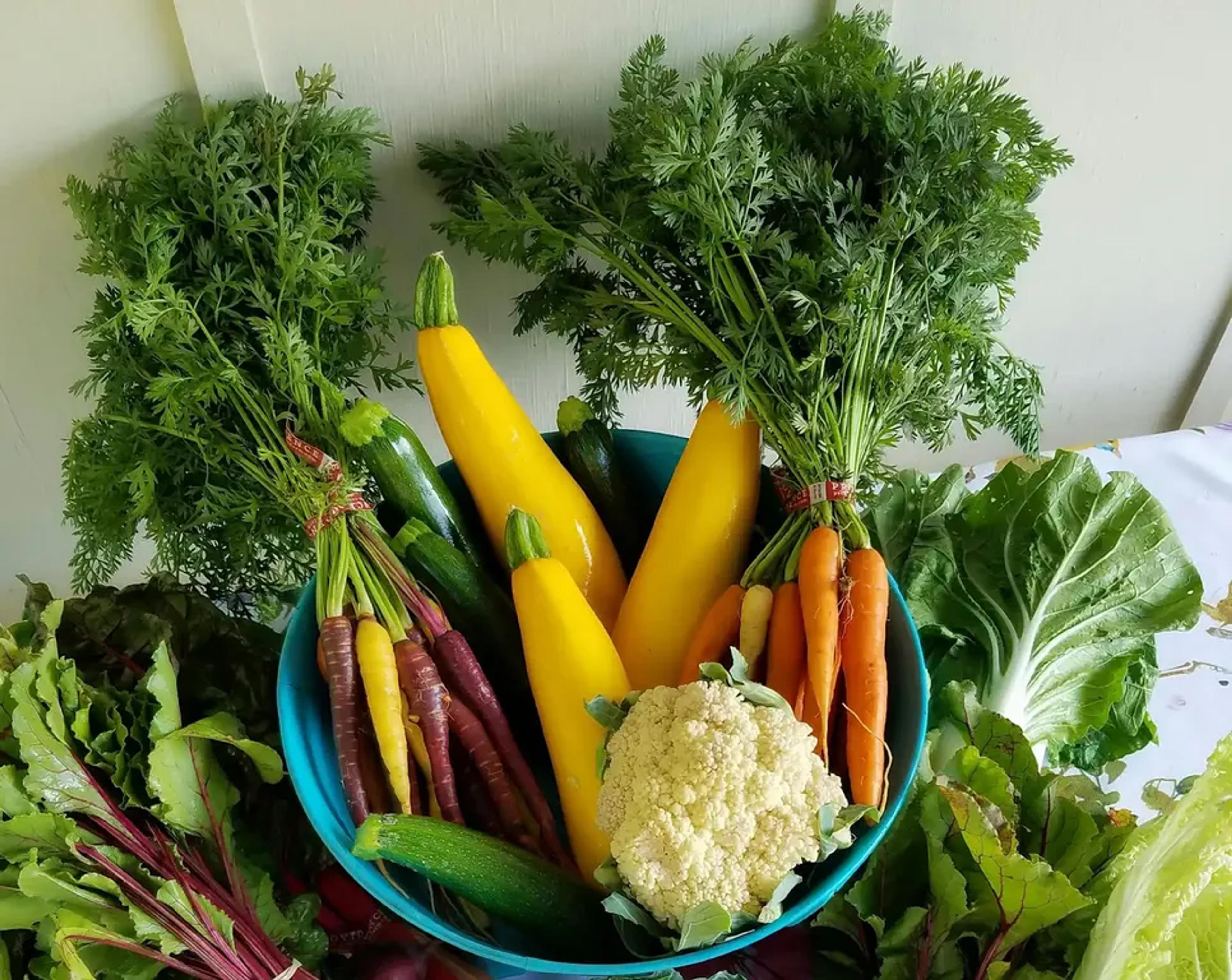 A vibrant assortment of fresh vegetables arranged around a turquoise bowl, including rainbow carrots, yellow squash, zucchini, cauliflower, beets, leafy greens, and napa cabbage, all displayed on a floral-patterned tablecloth.