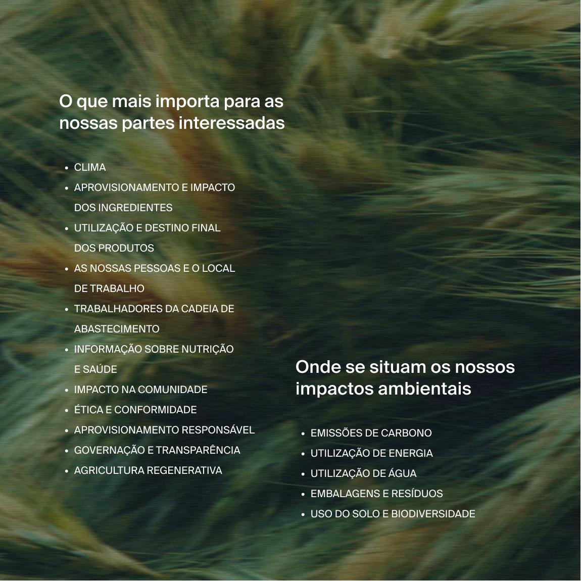 Text on an image of moving long grass in 2 parts, one with the headline "what matters most to our stakeholders", and the other "where our environmental impacts fall"