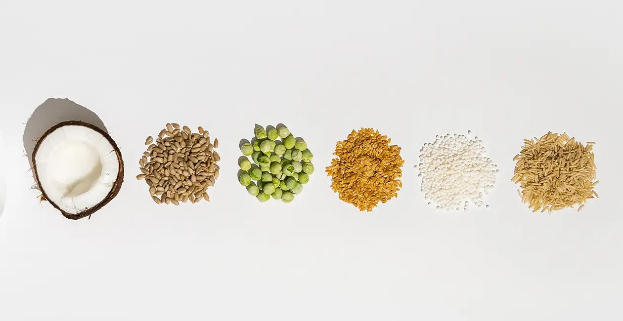 small piles of grains seeds and nuts in a line with a half coconut