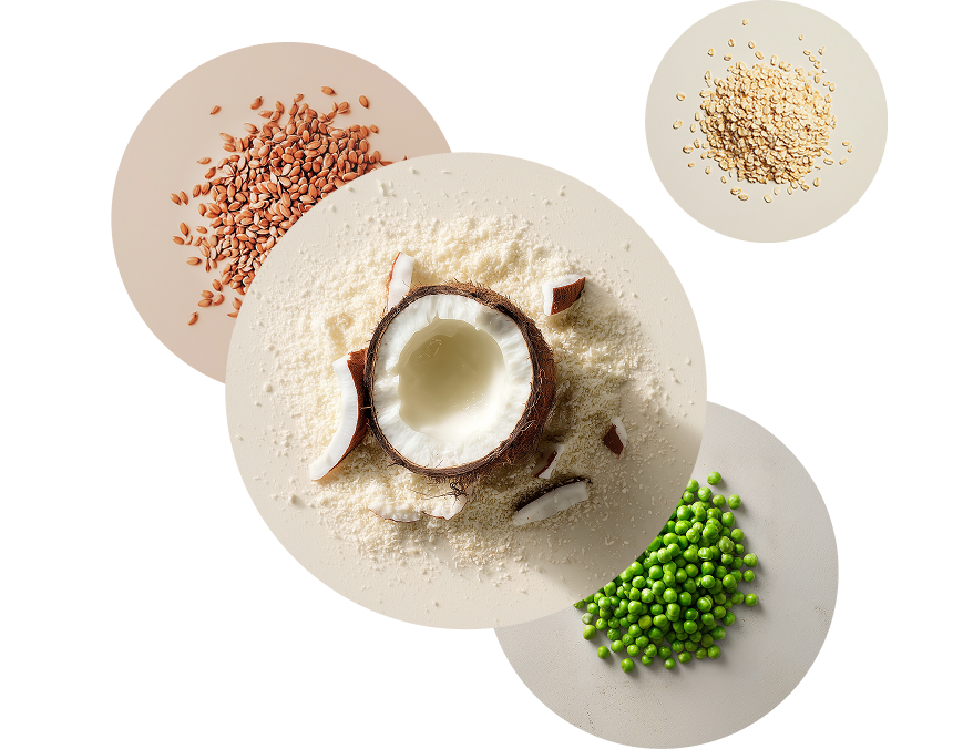 Image containing a number of raw Huel ingredients including coconut, pea protein, and oats