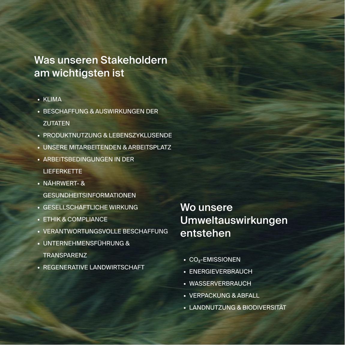 Text on an image of moving long grass in 2 parts, one with the headline "what matters most to our stakeholders", and the other "where our environmental impacts fall"