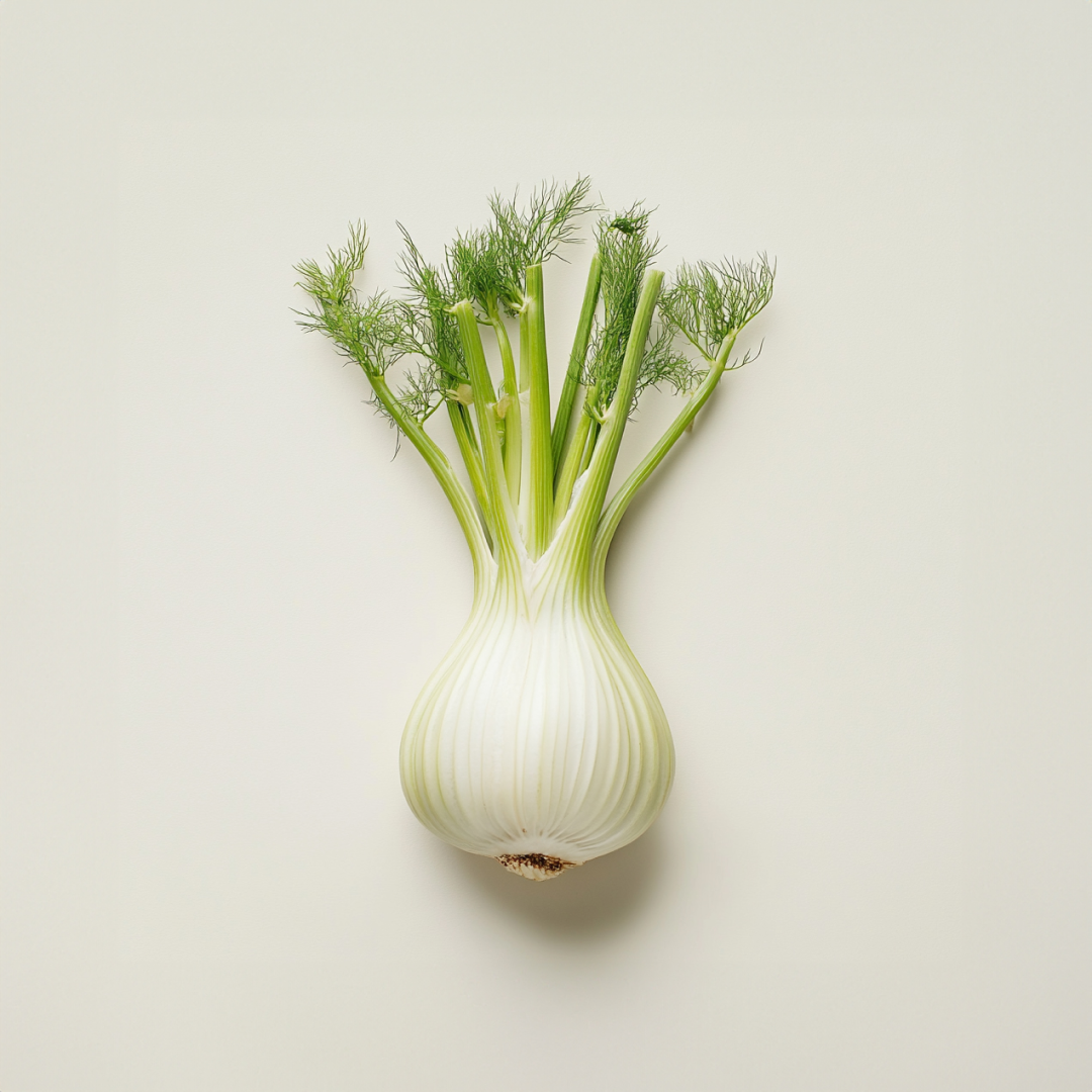 Bio-Süßfenchel