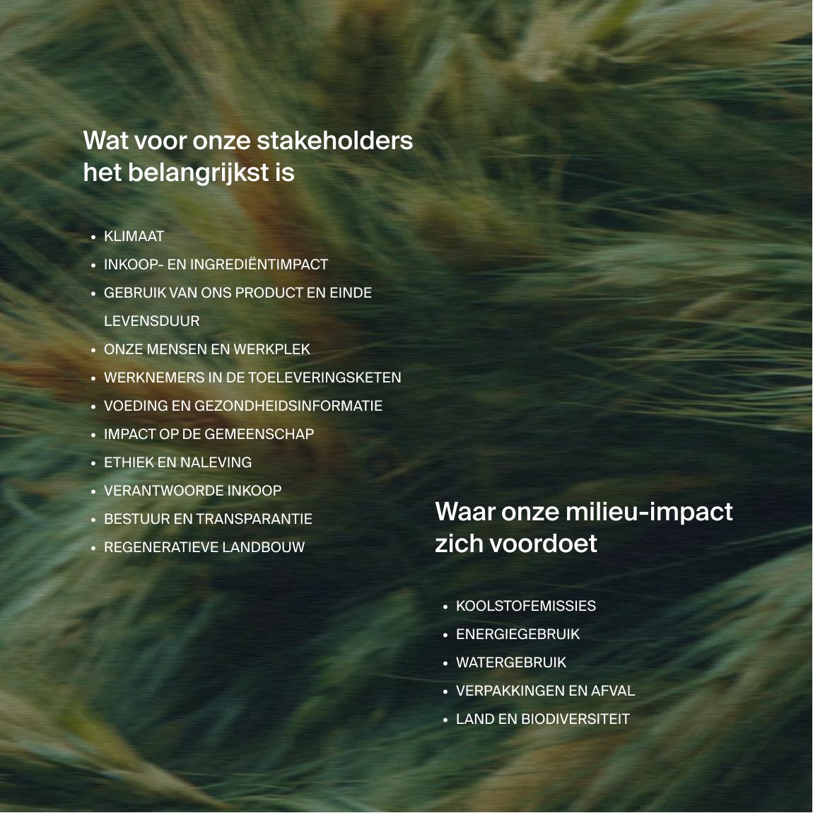 Text on an image of moving long grass in 2 parts, one with the headline "what matters most to our stakeholders", and the other "where our environmental impacts fall"