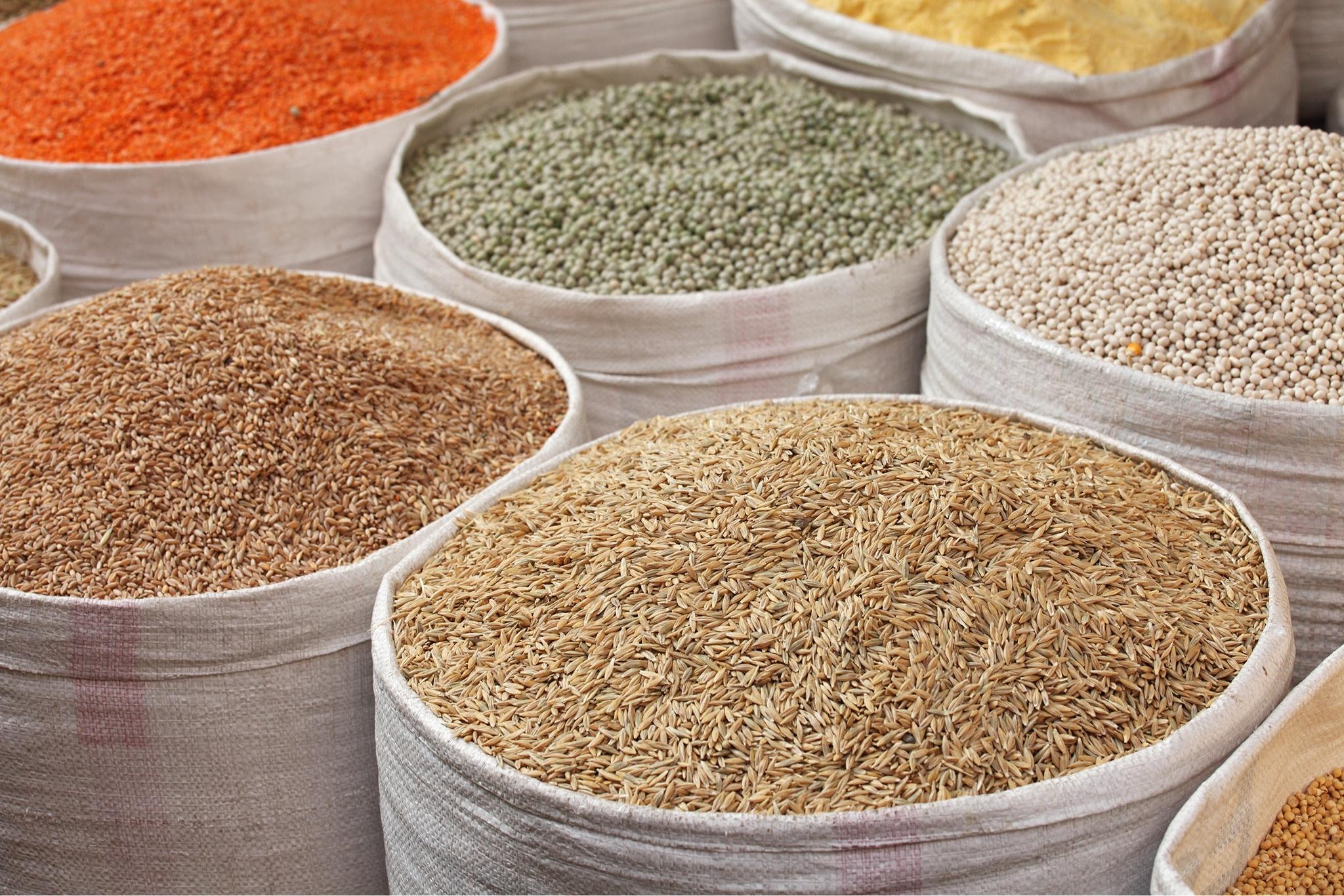multiple sacks of grains all open top with the grains showing