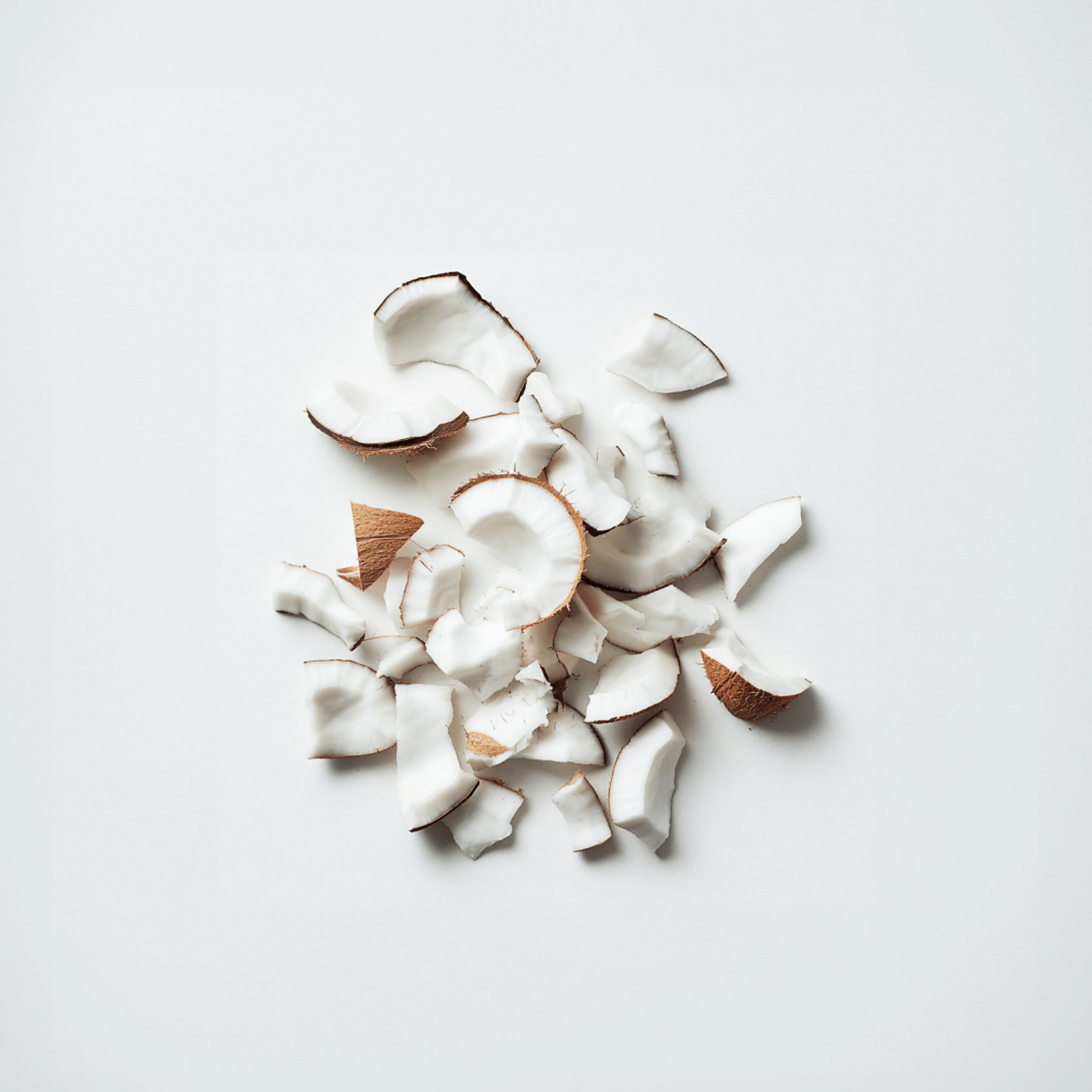 Pieces of coconut
