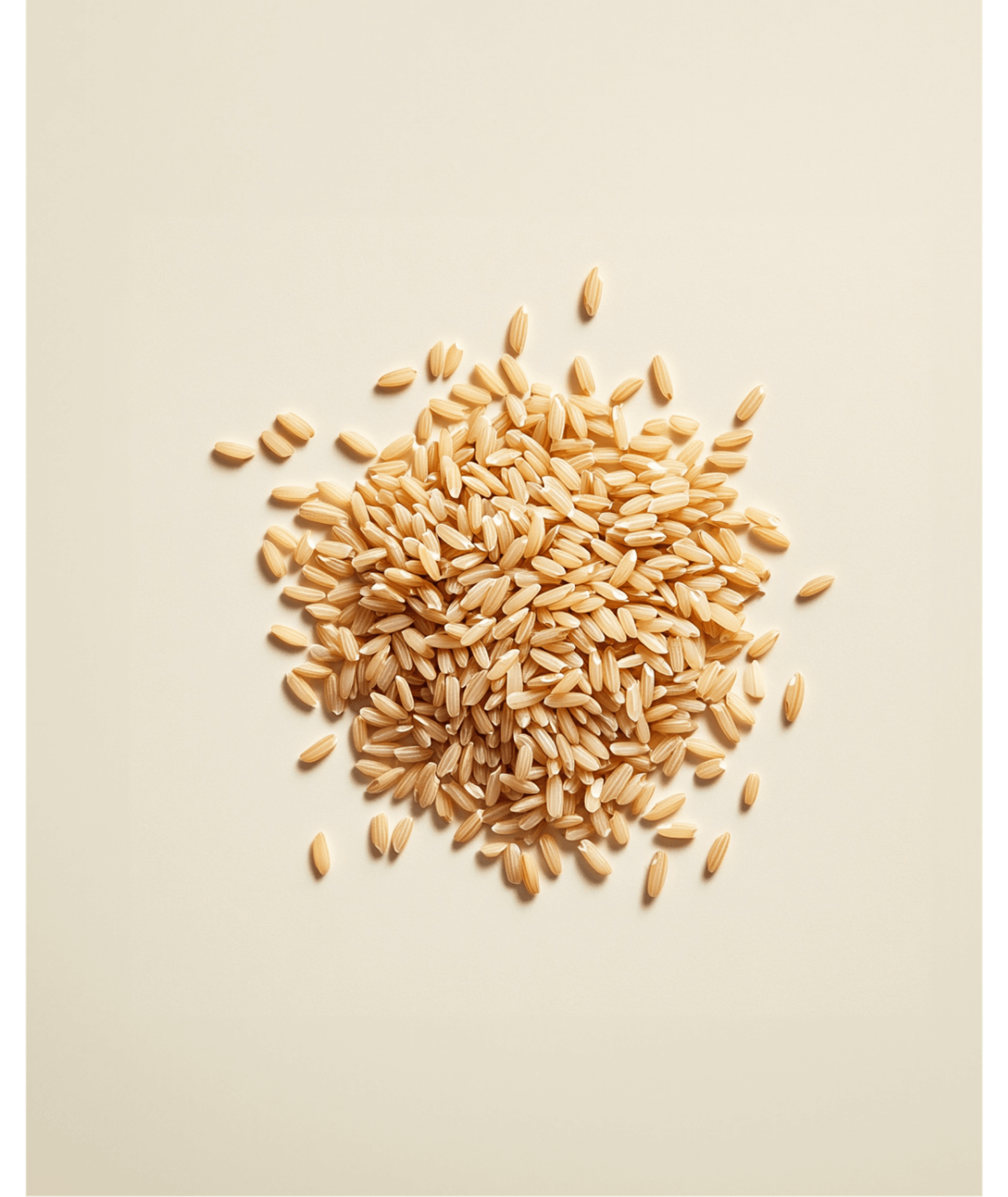 Brown Rice Protein